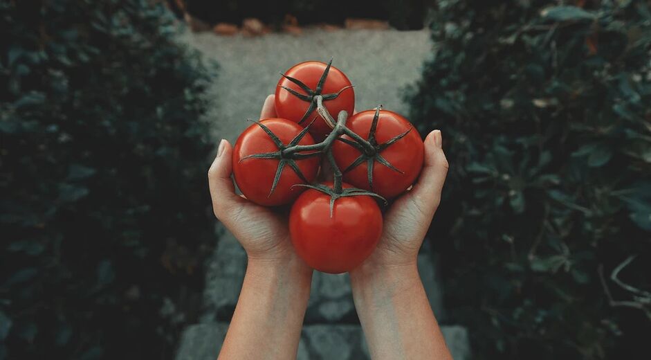 Pomidory zmniejszają ryzyko raka prostaty