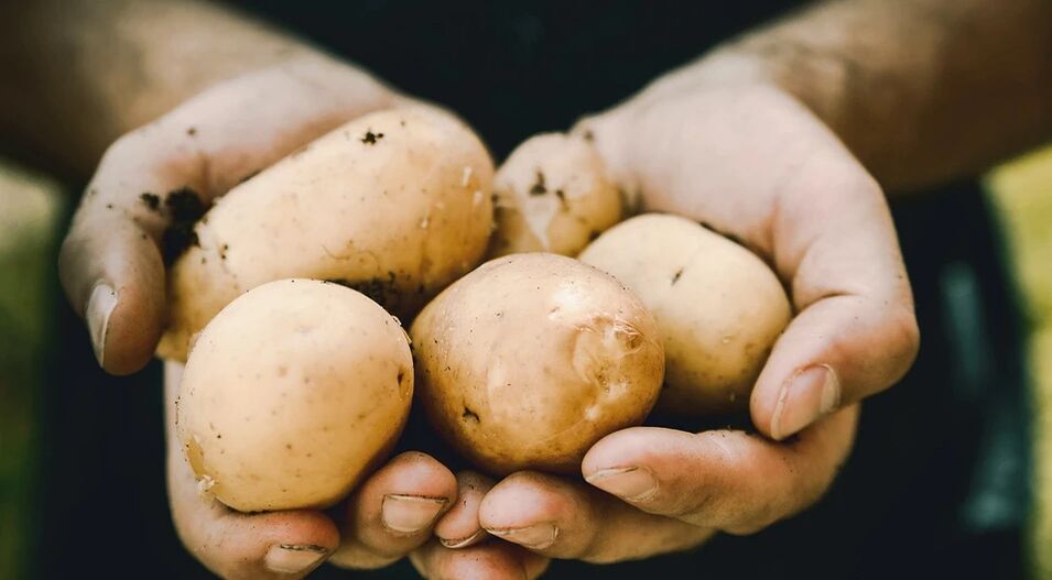 Ziemniaki pozytywnie wpływają na zdrowie mężczyzn